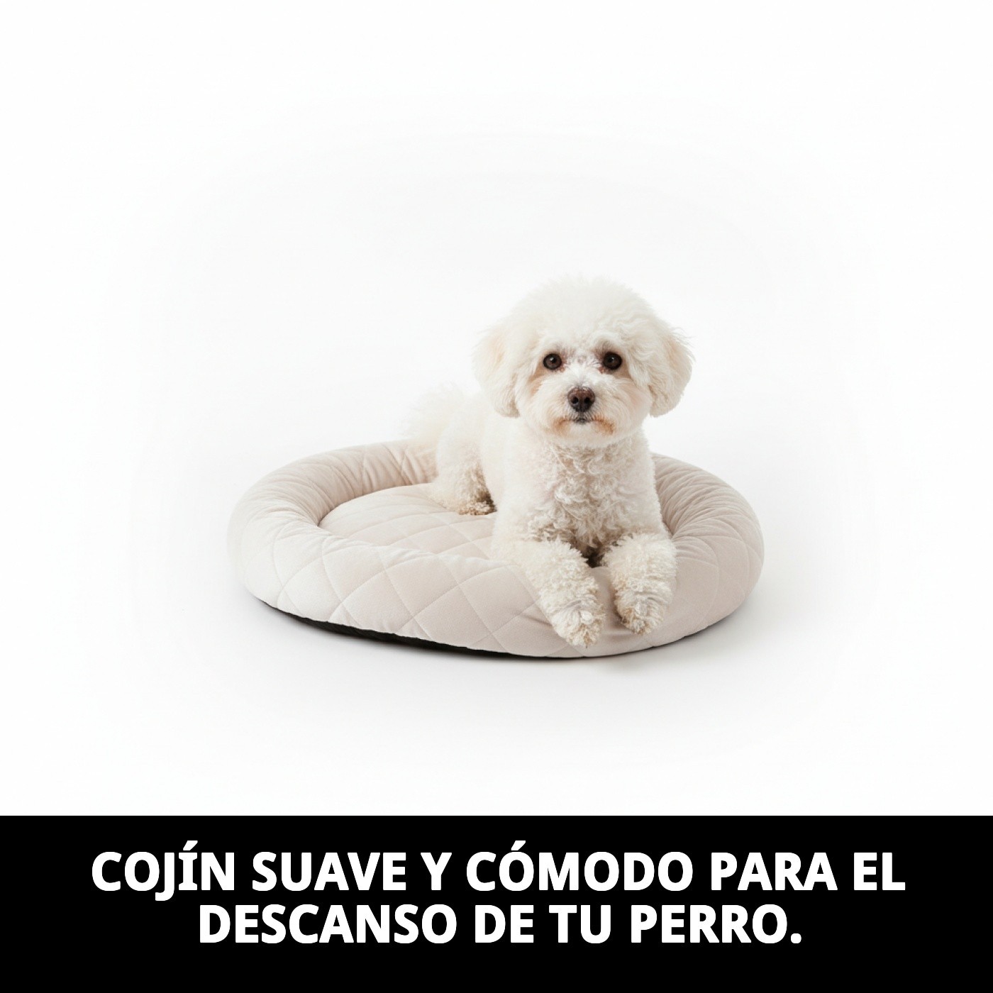 COJIN PERLA N.2  45 X 30 X 3 CM.