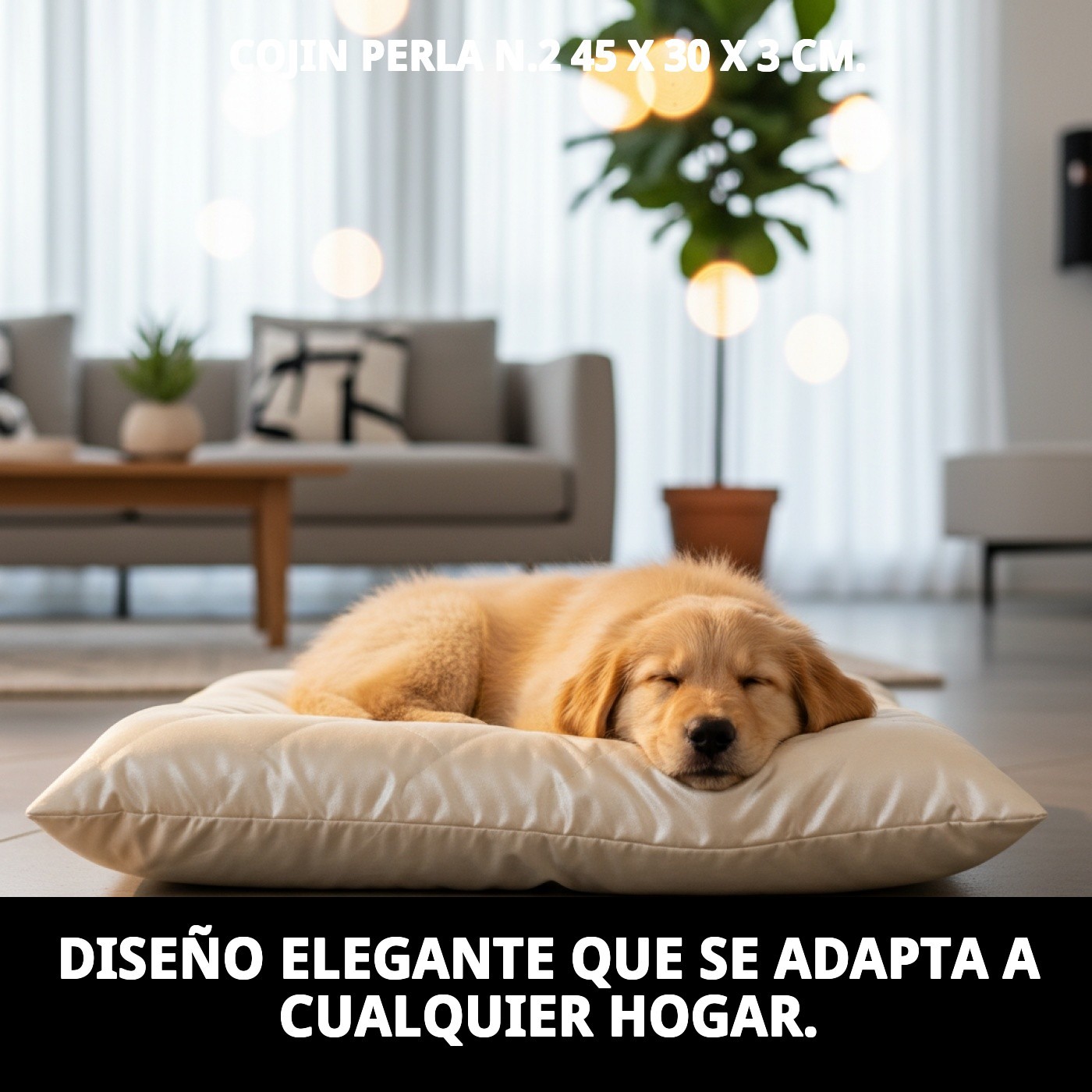 COJIN PERLA N.2  45 X 30 X 3 CM.