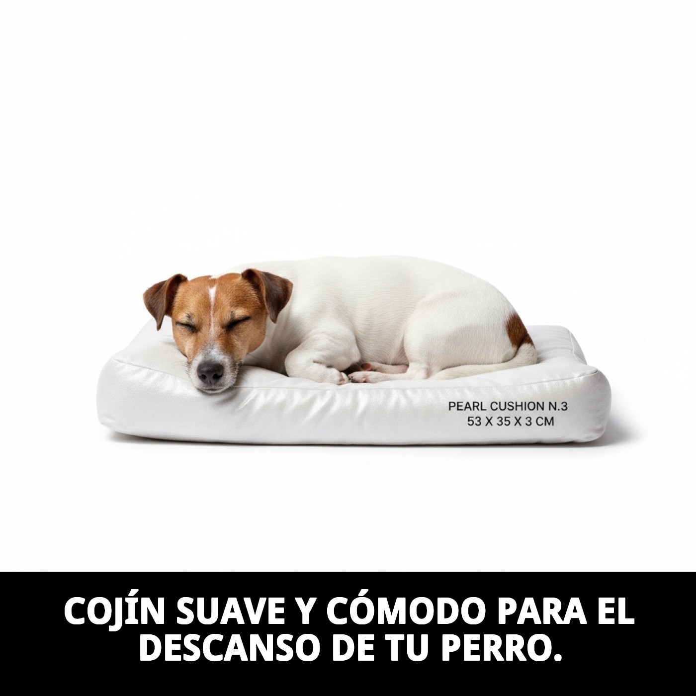 COJIN PERLA N.3  53 X 35 X 3 CM.