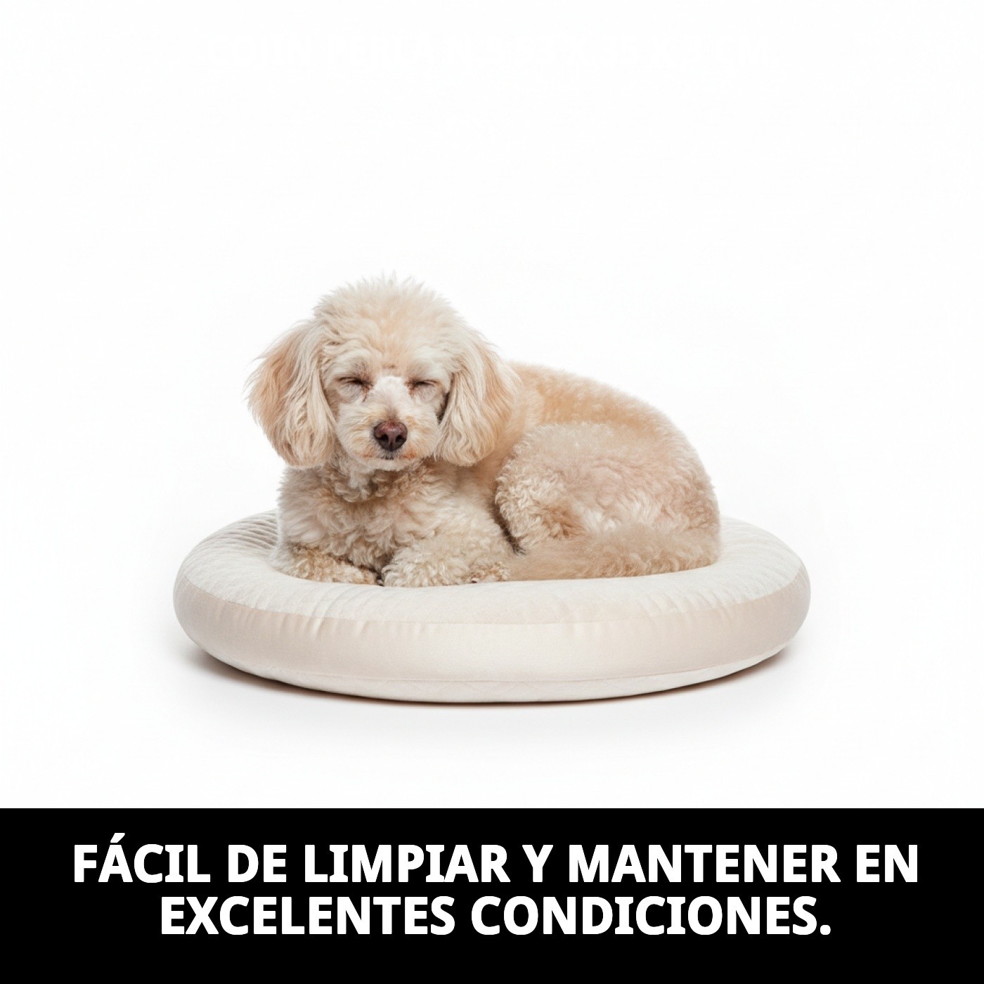 COJIN PERLA N.3  53 X 35 X 3 CM.