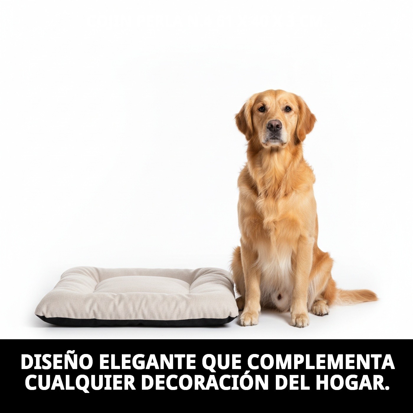 COJIN PERLA N.4 61 X 40 X 3 CM.