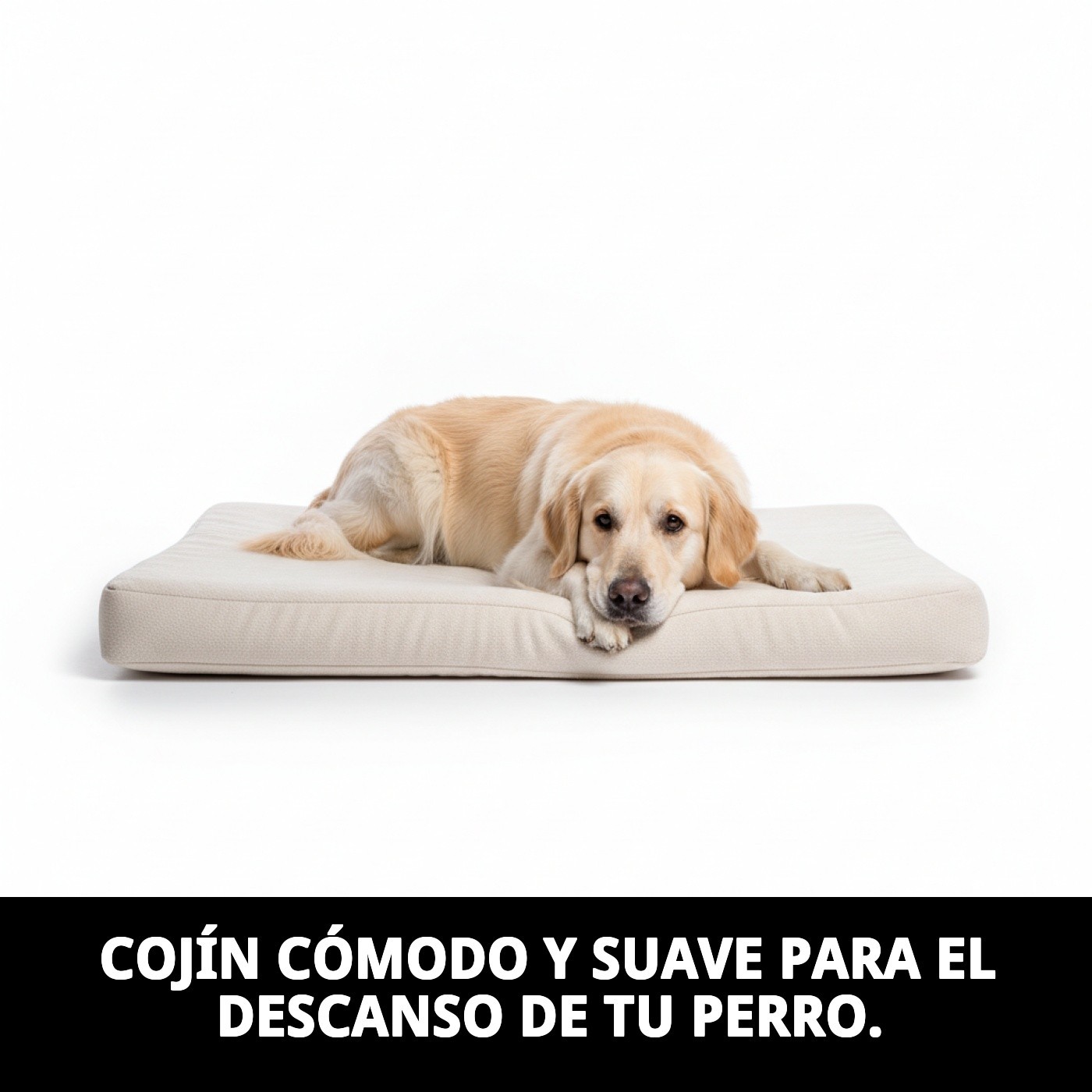 COJIN PERLA N.5 69 X 46 X 3 CM.