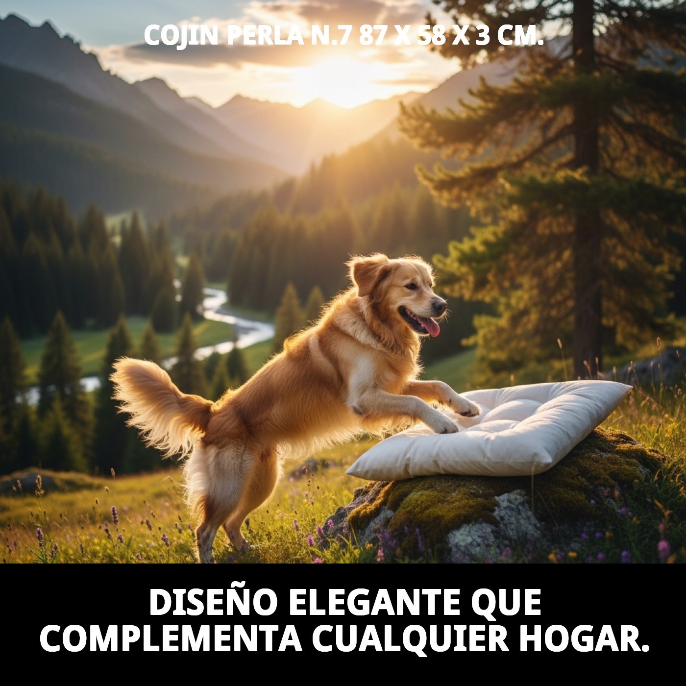 COJIN PERLA N.7 87 X 58 X 3 CM.