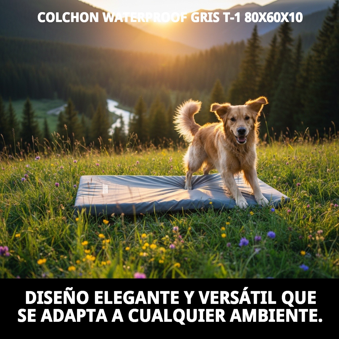 COLCHON WATERPROOF GRIS T-1 80X60X10