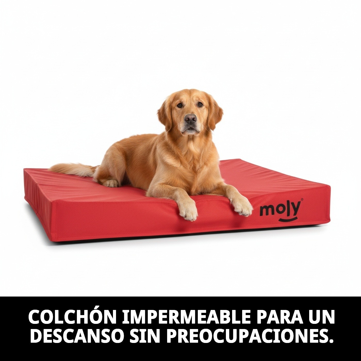 COLCHON WATERPROOF ROJO T-1 80X60X10