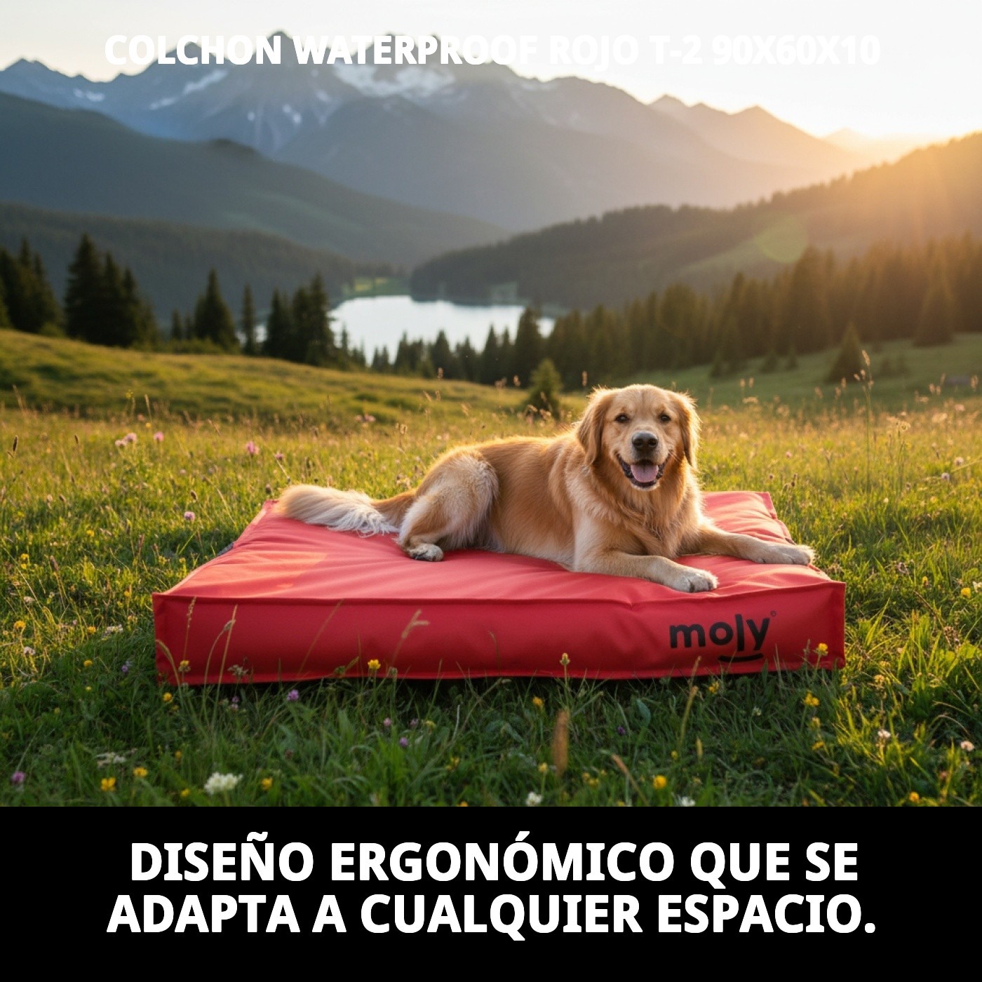 COLCHON WATERPROOF ROJO T-2 90X60X10