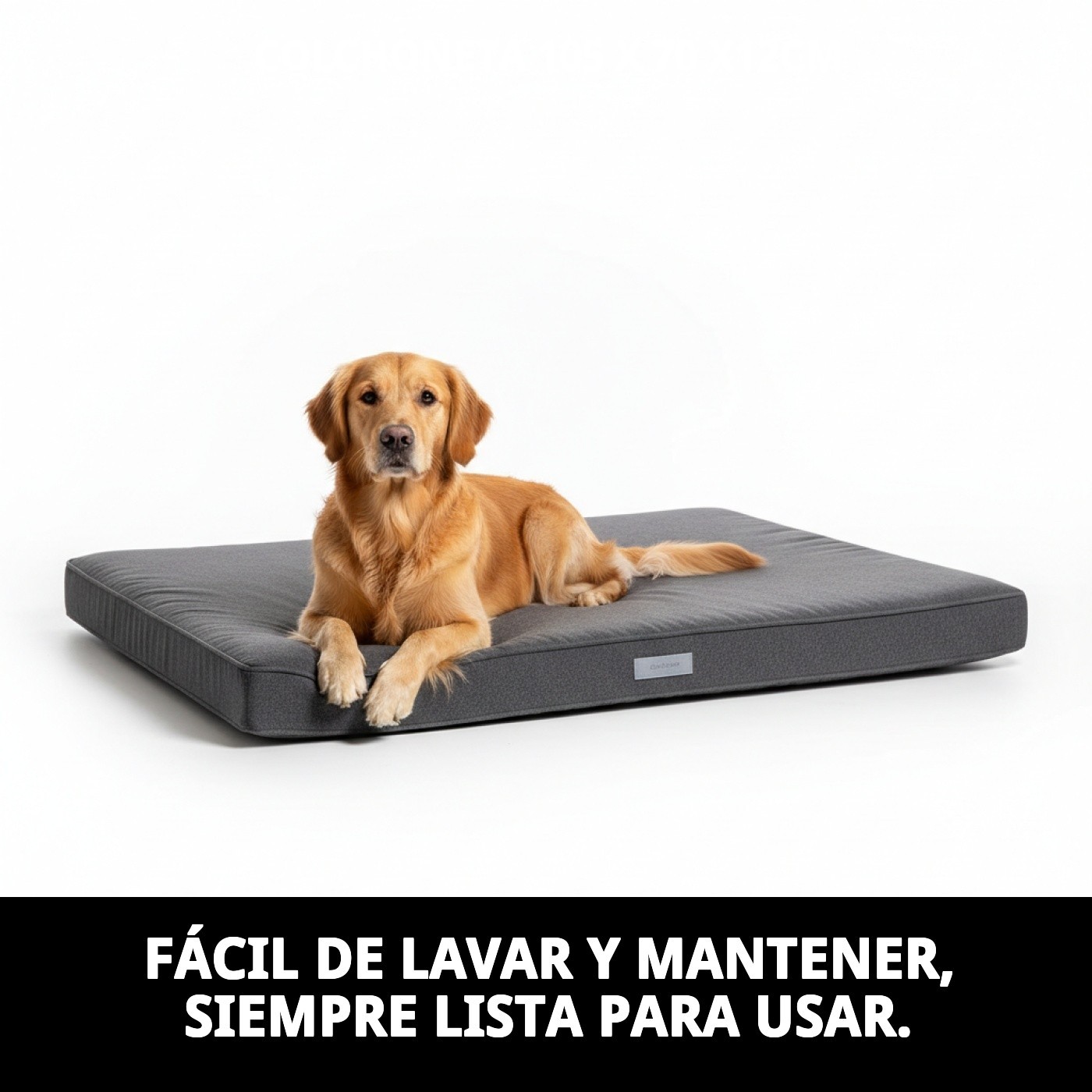 COLCHONETA 105 X 70 X12cm