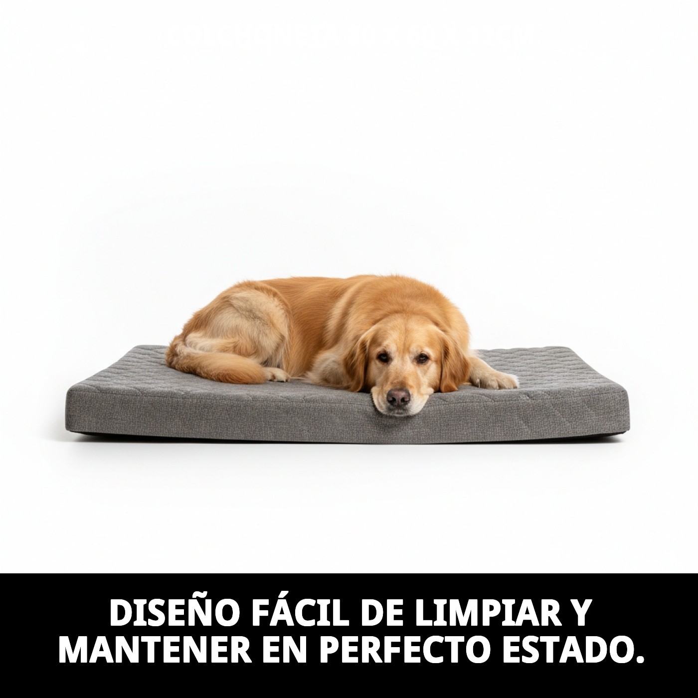 COLCHONETA 80 X 60 x 12cm