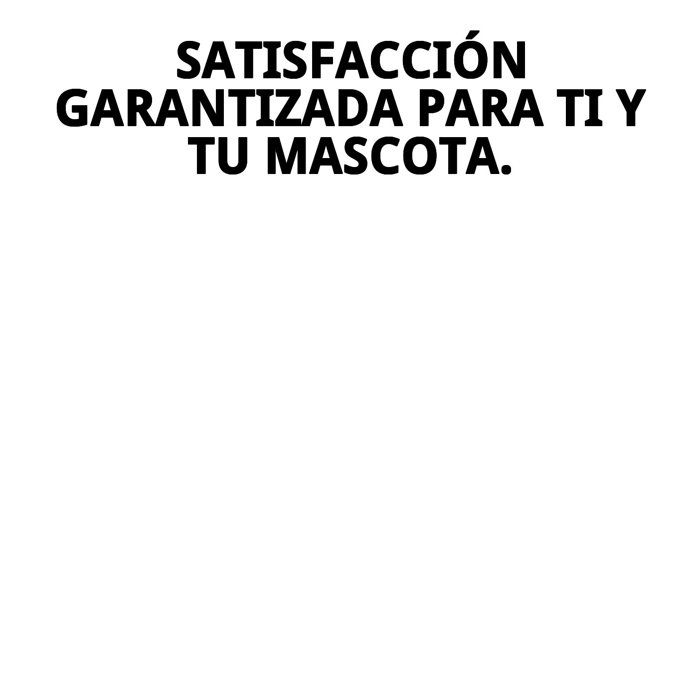 COLCHONETA 90 X 65 X 12cm