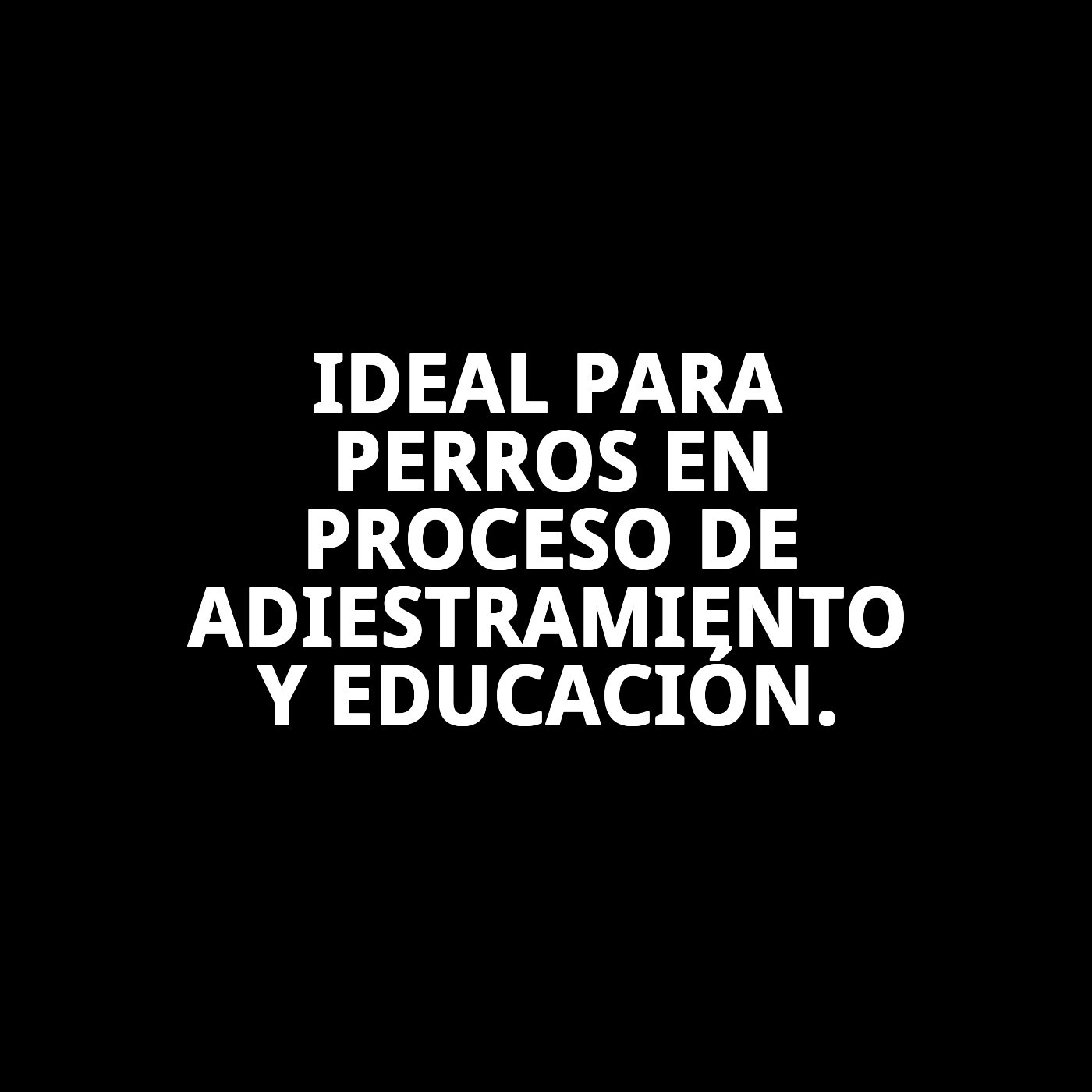 COLLAR ADIESTRAMIENTO 3,2mm