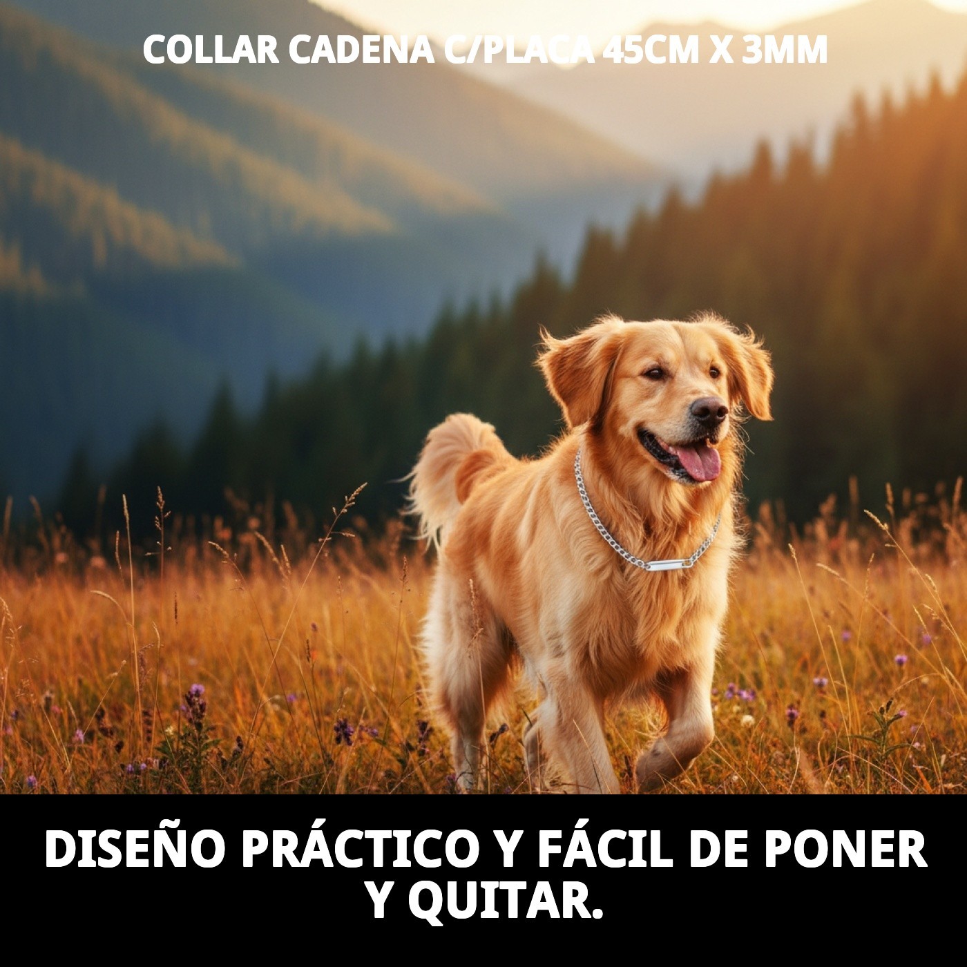 COLLAR CADENA C/PLACA 45cm X 3mm