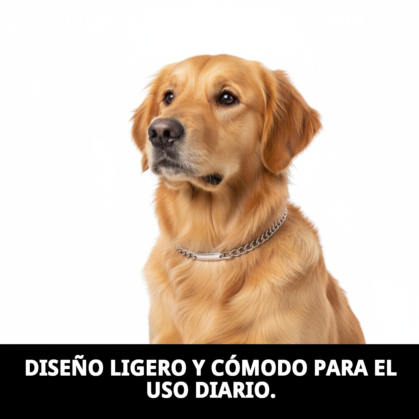 COLLAR CADENA C/PLACA 55cm X 3,5mm