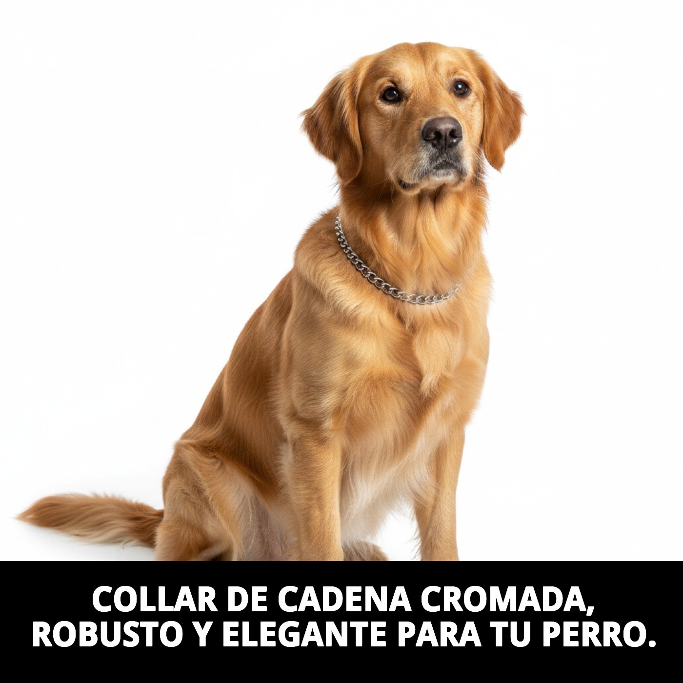 COLLAR CADENA CROMADA 45cm X 3,5mm