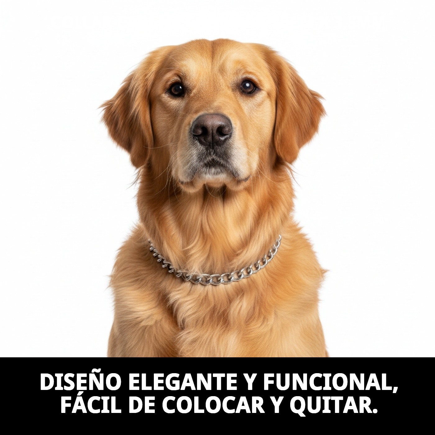 COLLAR CADENA CROMADA 55cm X 3,5mm