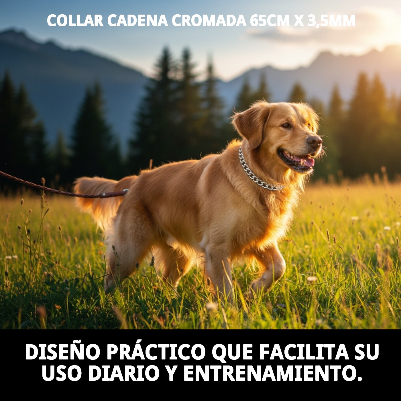 COLLAR CADENA CROMADA 65cm X 3,5mm