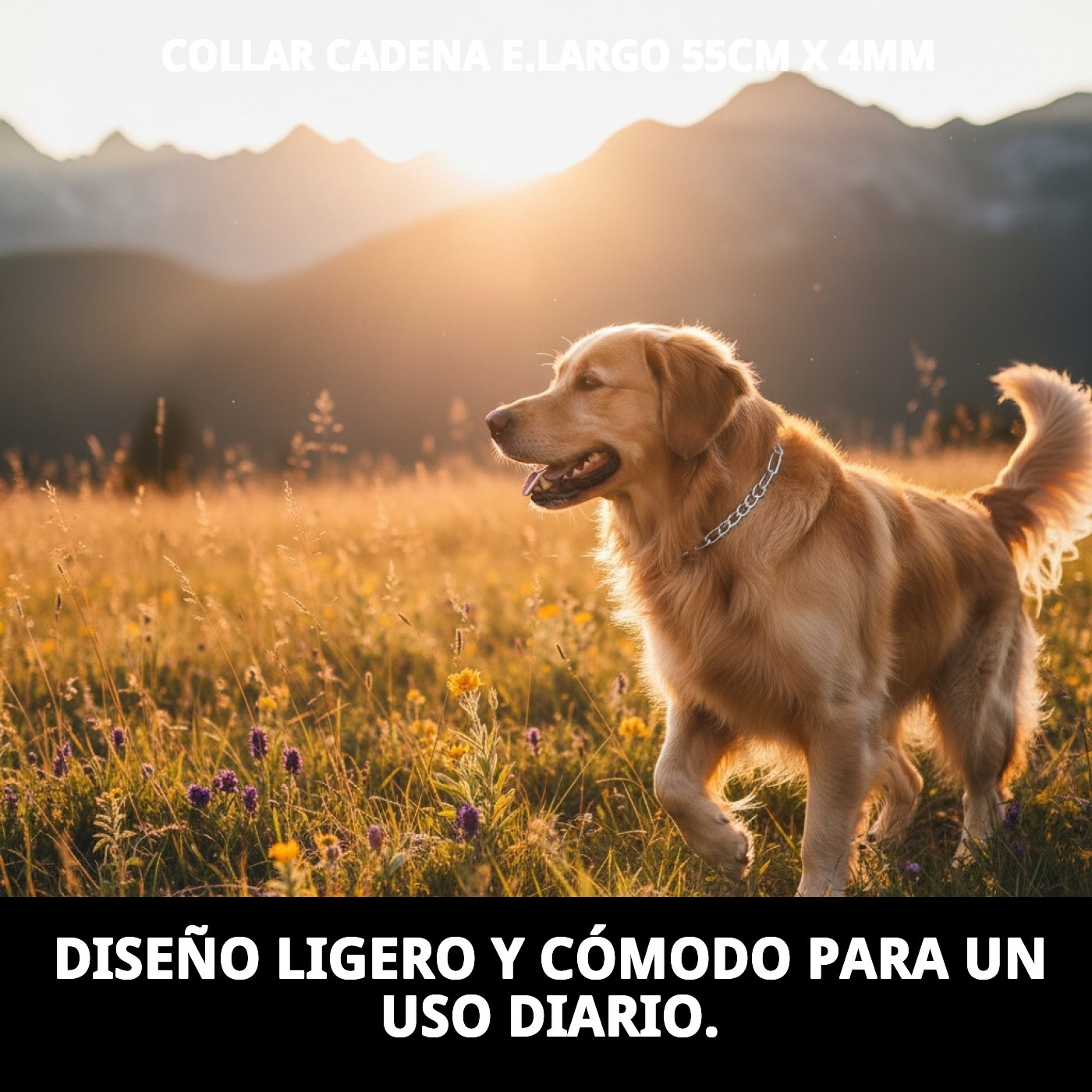 COLLAR CADENA E.LARGO 55cm X 4mm