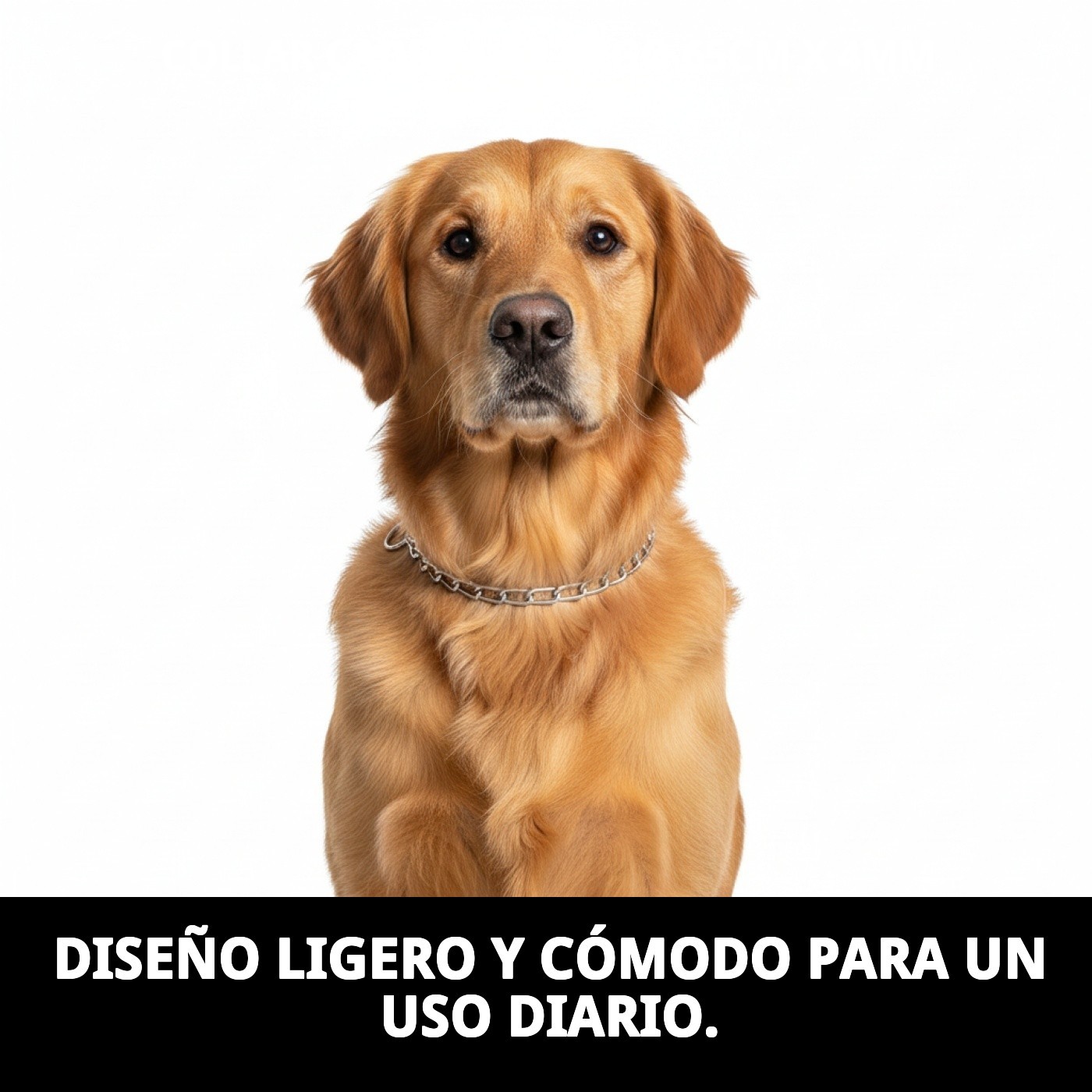 COLLAR CADENA E.LARGO 65cm X 4mm