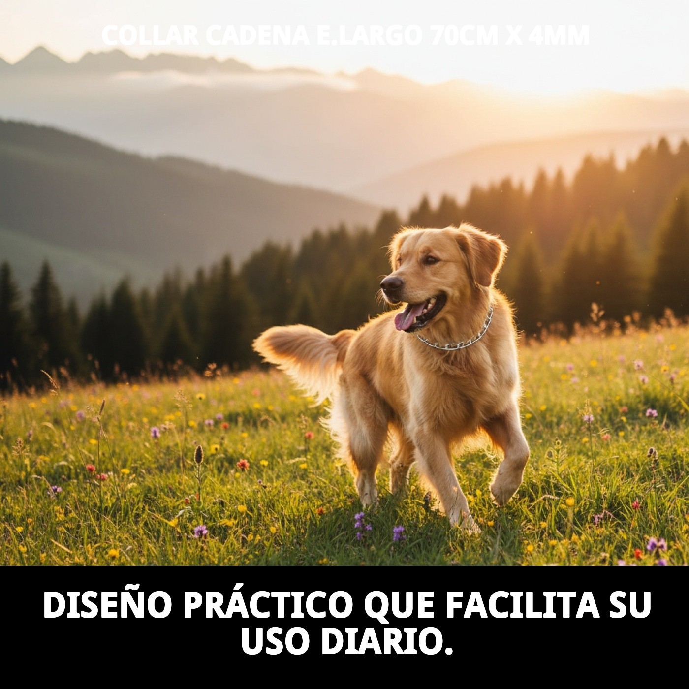 COLLAR CADENA E.LARGO 70cm X 4mm