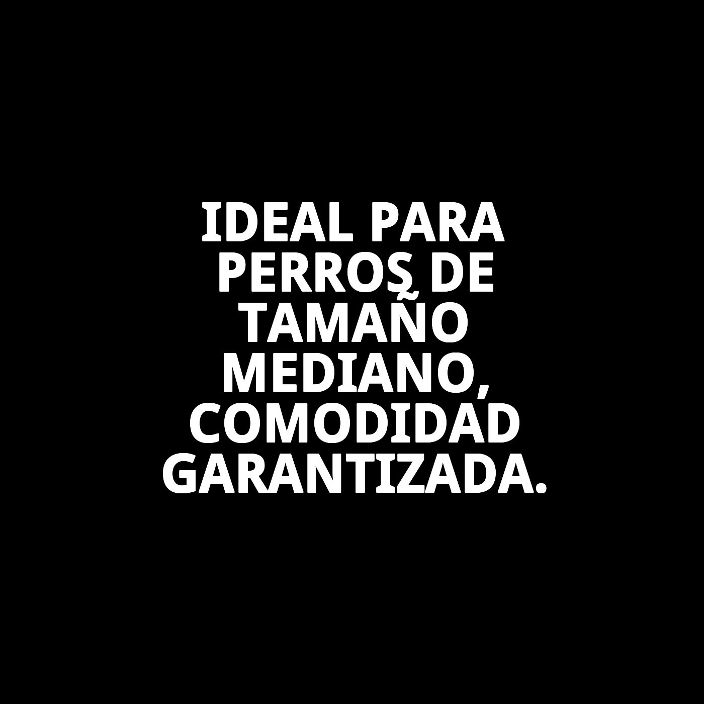 COLLAR CASITAS ROJAS T-6 45-55*2,5