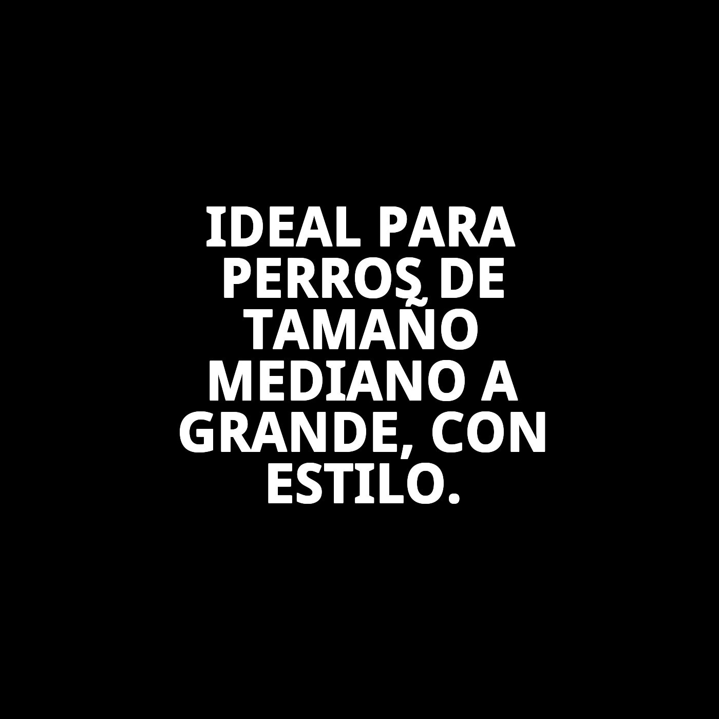 COLLAR CITY FANTASIA 3X40-70