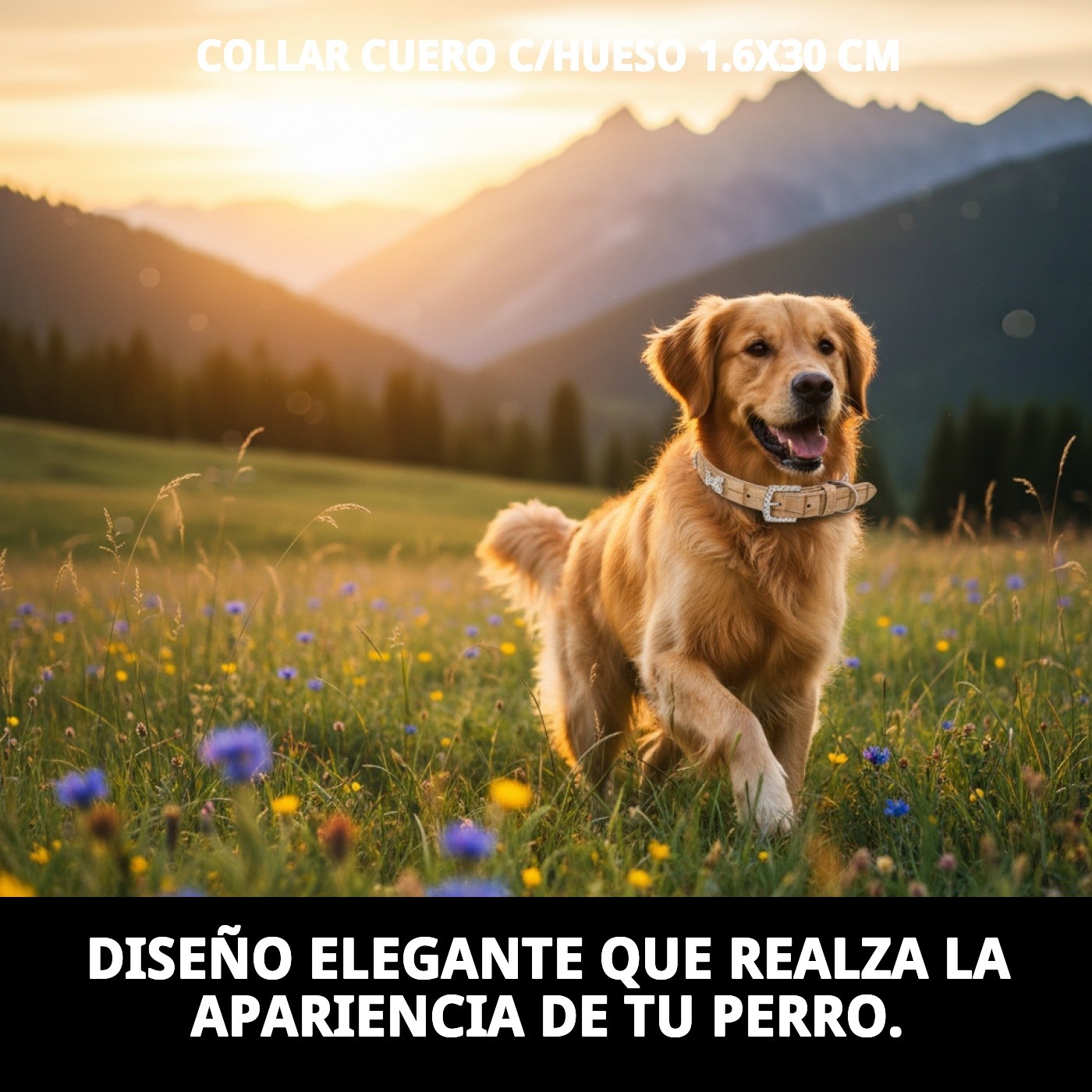 COLLAR CUERO C/HUESO 1.6X30 cm