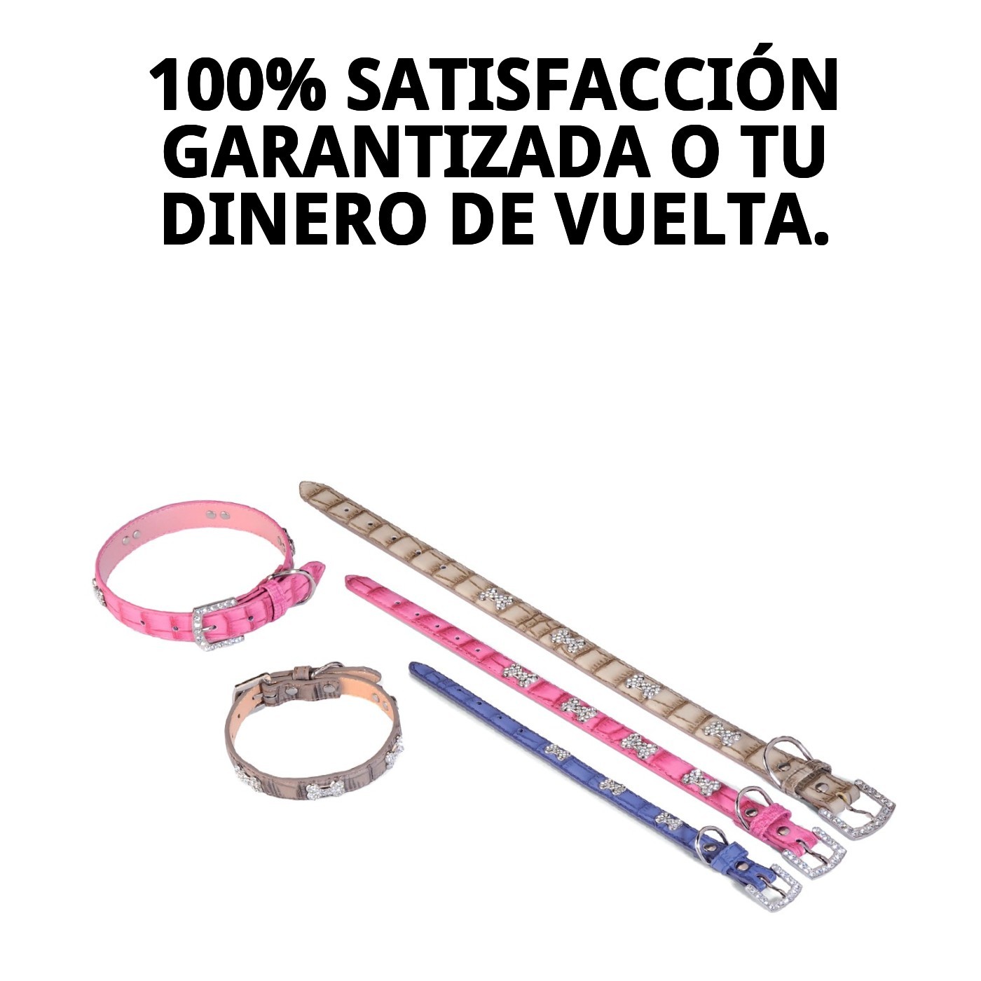 COLLAR CUERO C/HUESO 1.6X30 cm