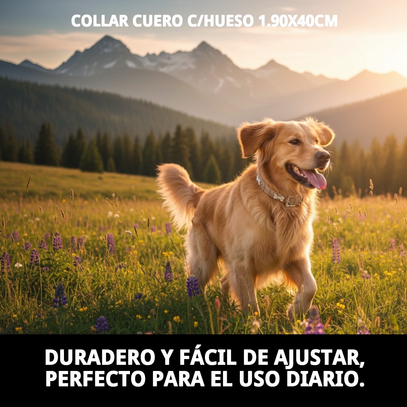 COLLAR CUERO C/HUESO 1.90X40CM