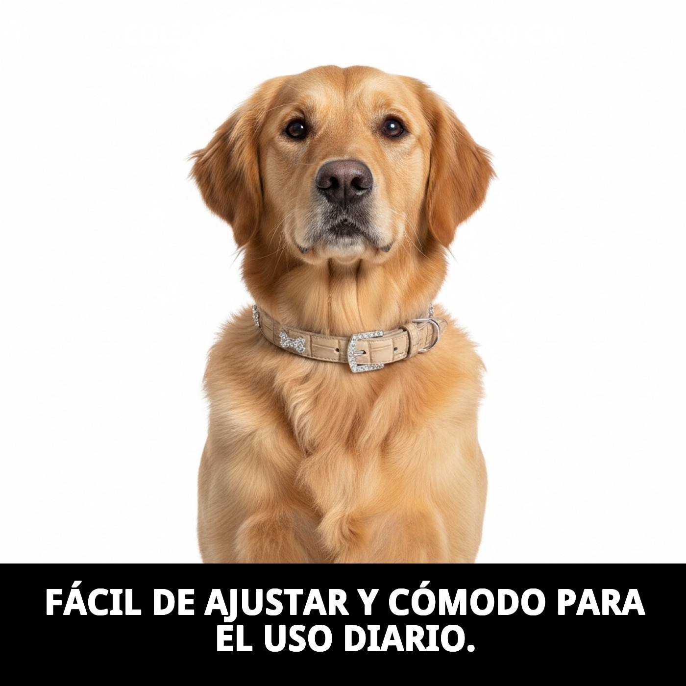 COLLAR CUERO C/HUESO 2.5X50 cm