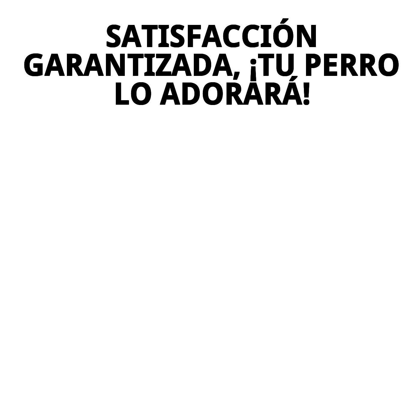 COLLAR CUERO DOBLE 65 X 4 cm