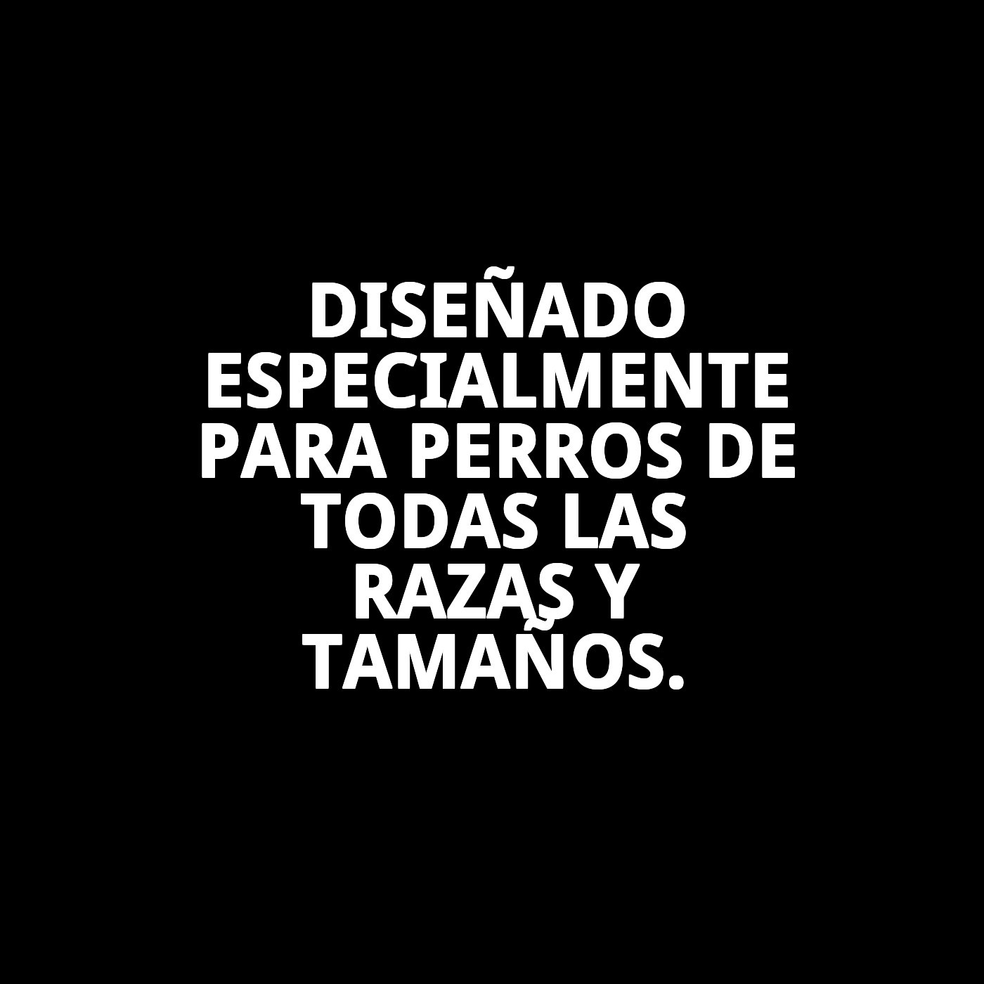 COLLAR CUERO DOBLE 75 X 4 cm