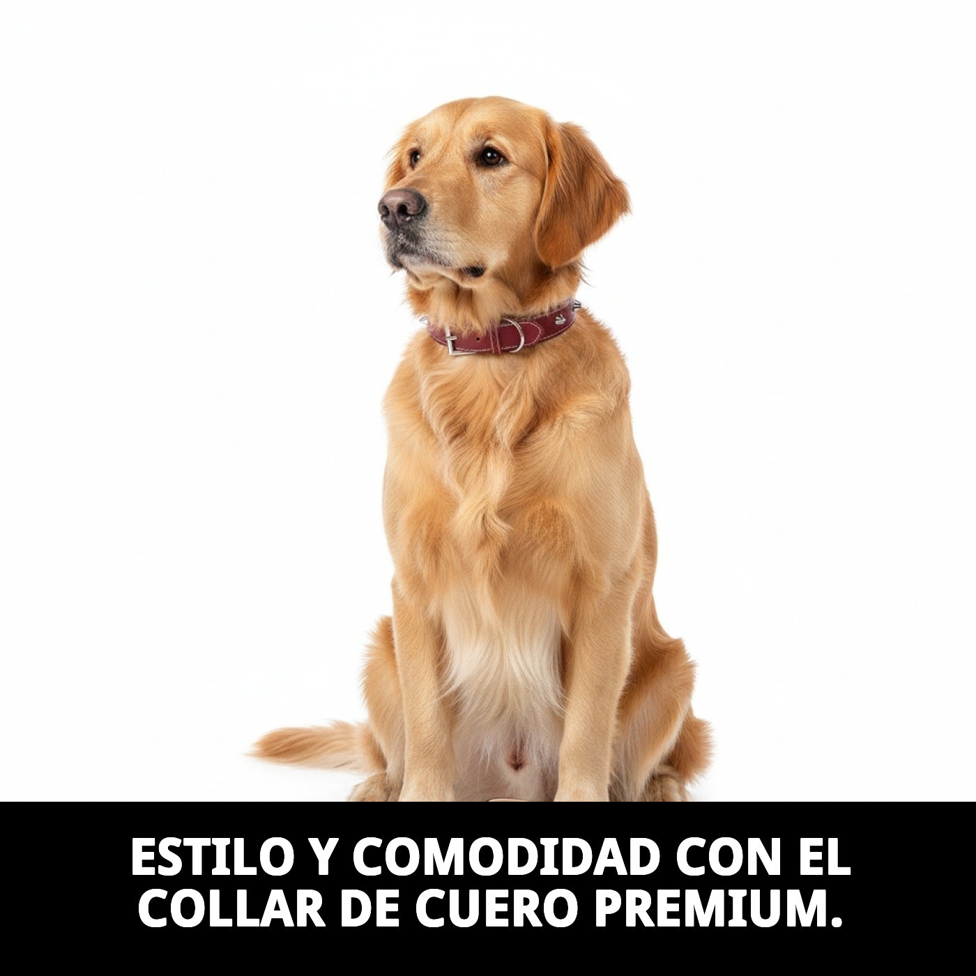 COLLAR CUERO FORNITURE 2X45 cm