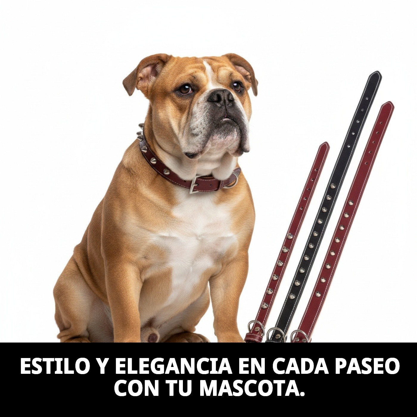 COLLAR CUERO FORNITURE 3X60 cm