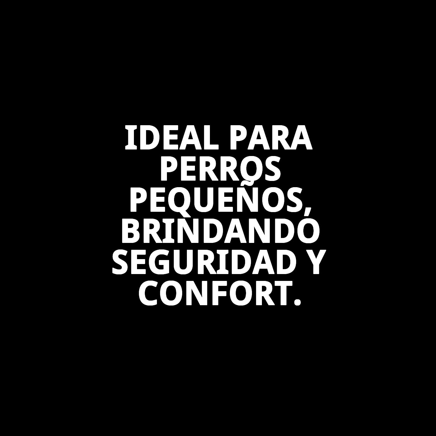 COLLAR CUERO LISO 27X1.2 cm