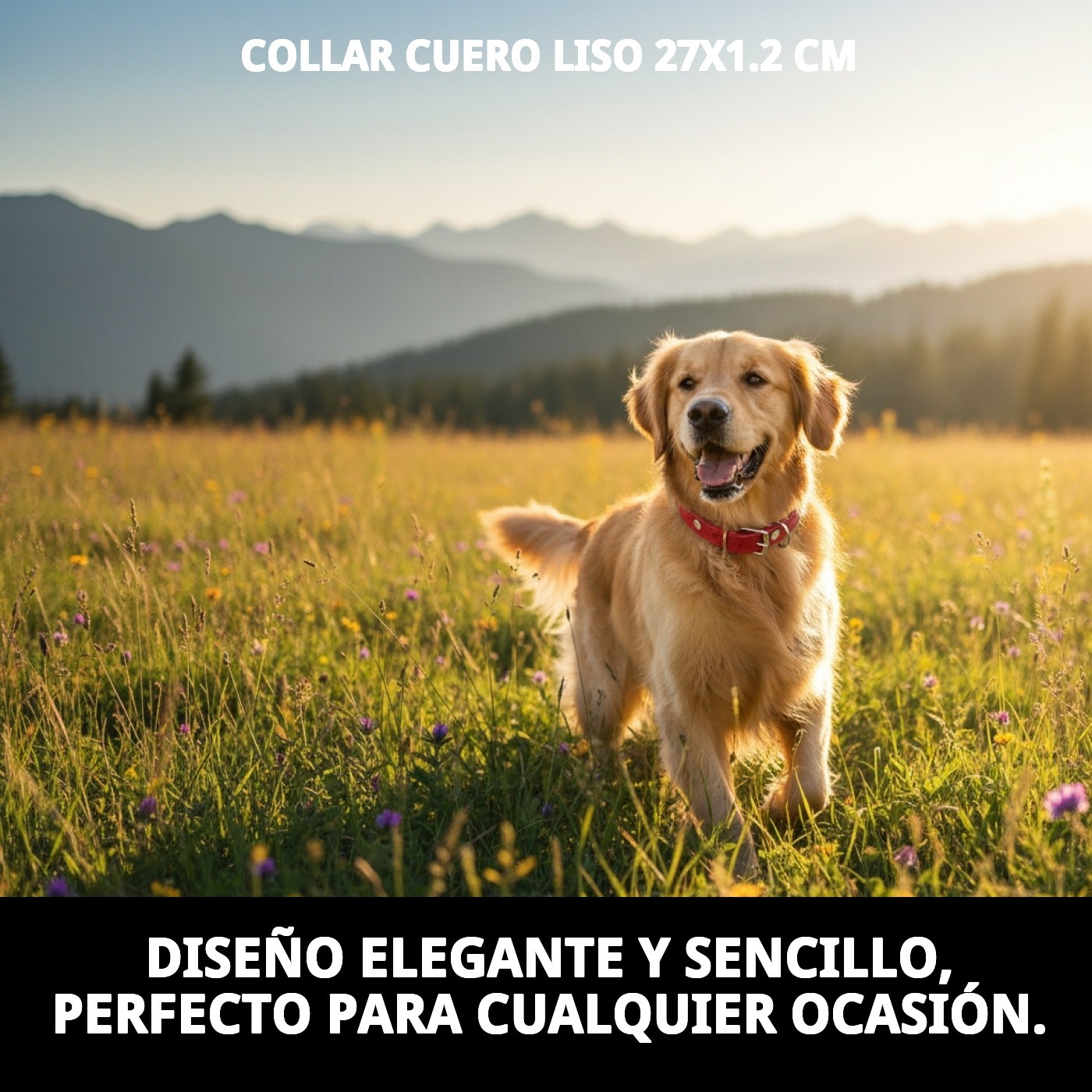 COLLAR CUERO LISO 27X1.2 cm