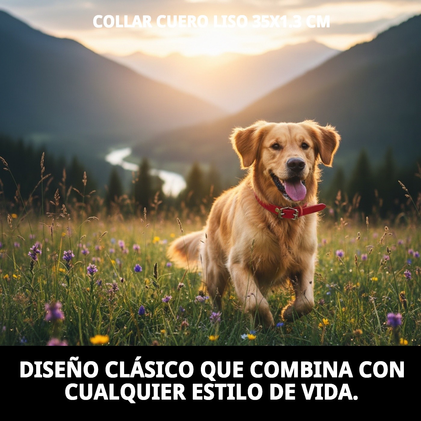 COLLAR CUERO LISO 35X1.3 cm