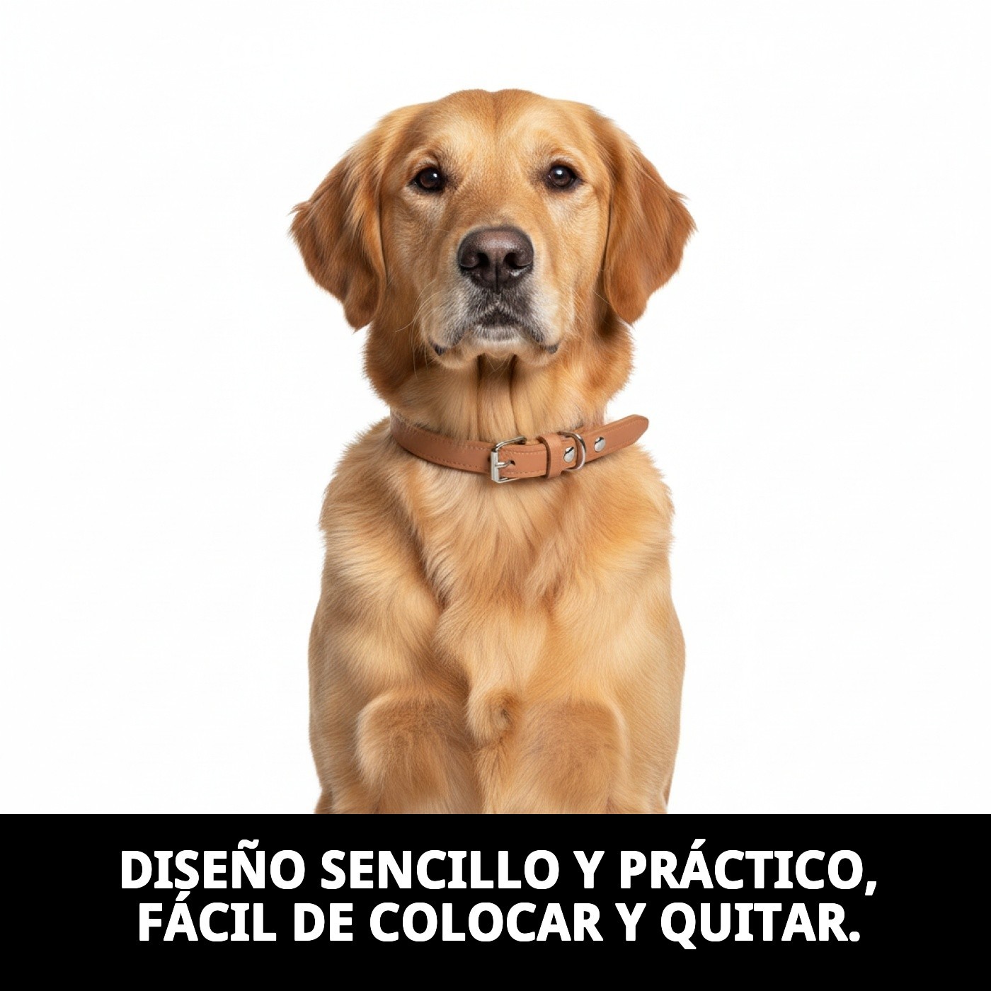 COLLAR CUERO LISO 40X1.5 cm