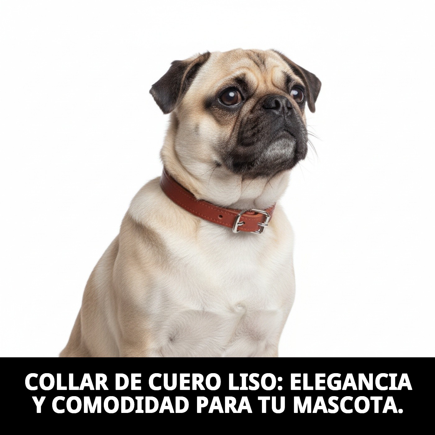 COLLAR CUERO LISO 45X1.8 cm