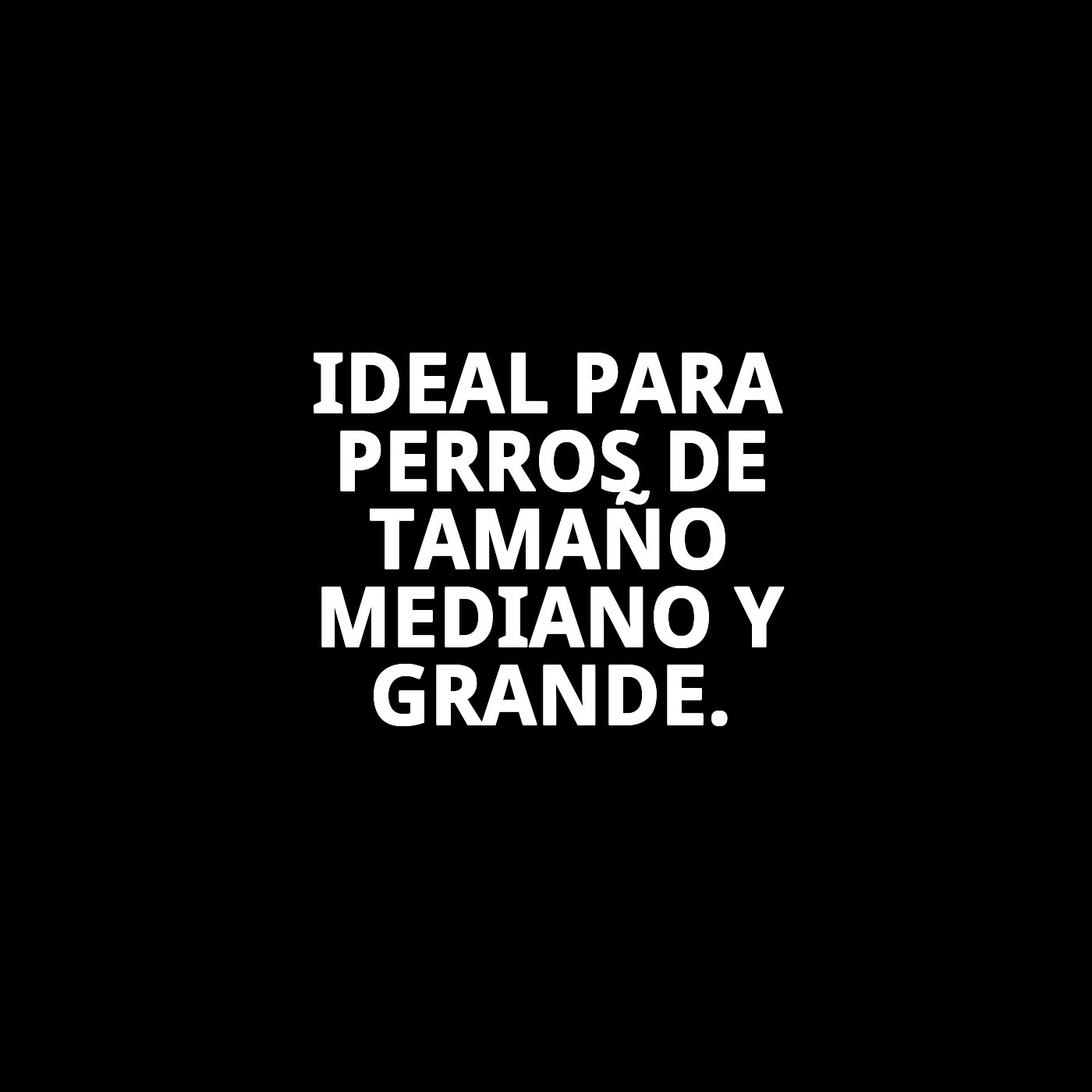 COLLAR CUERO LISO 50X2 cm