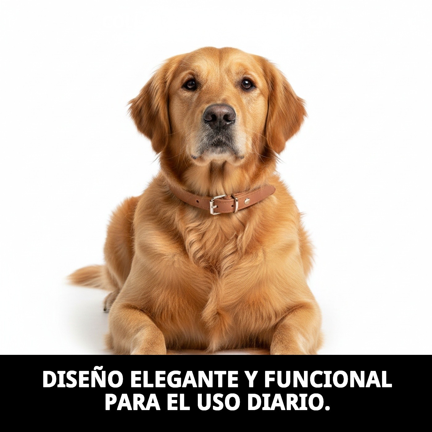 COLLAR CUERO LISO 50X2 cm