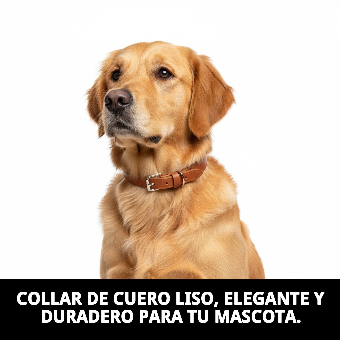 COLLAR CUERO LISO 55X2.5 cm