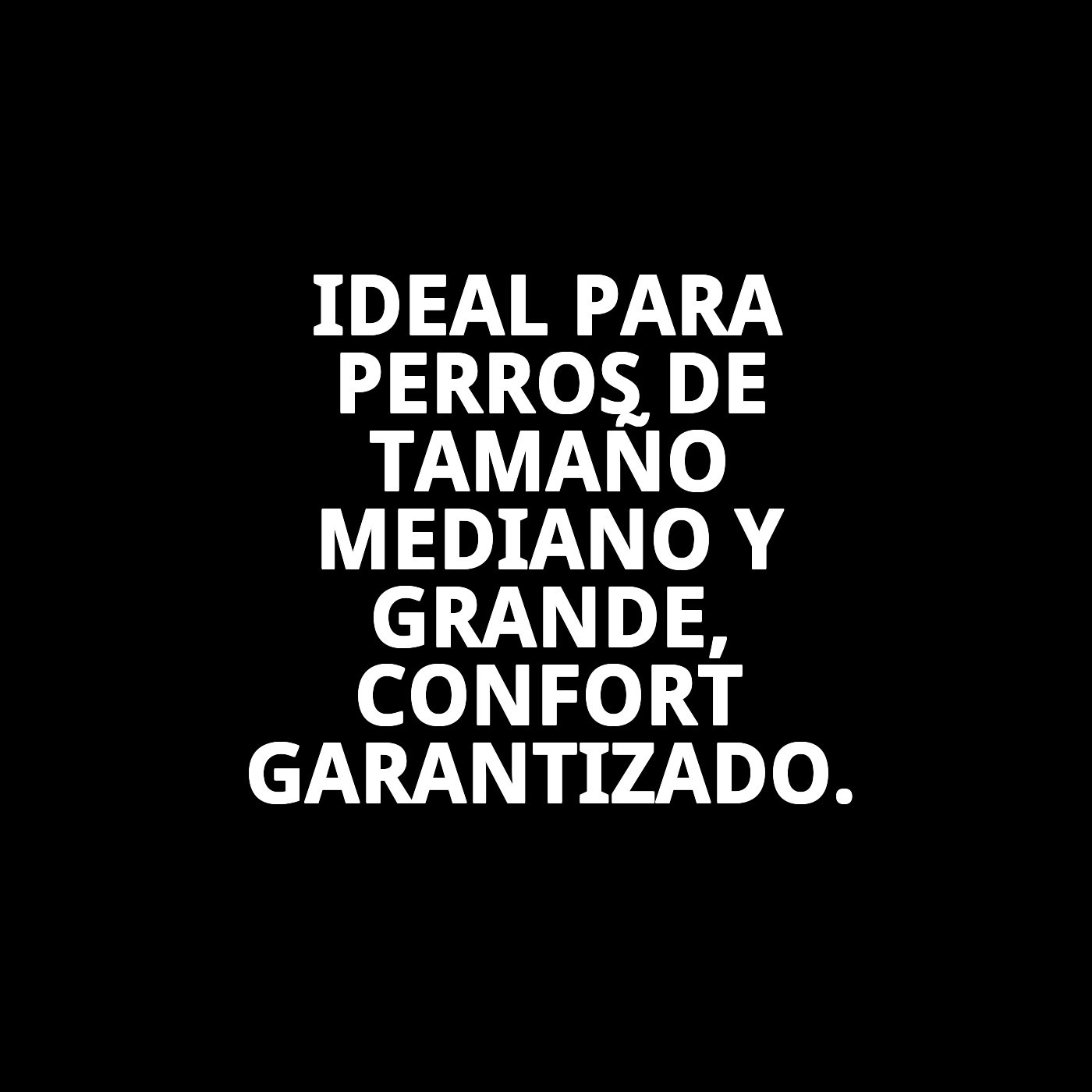 COLLAR CUERO LISO 60X3,5 CM