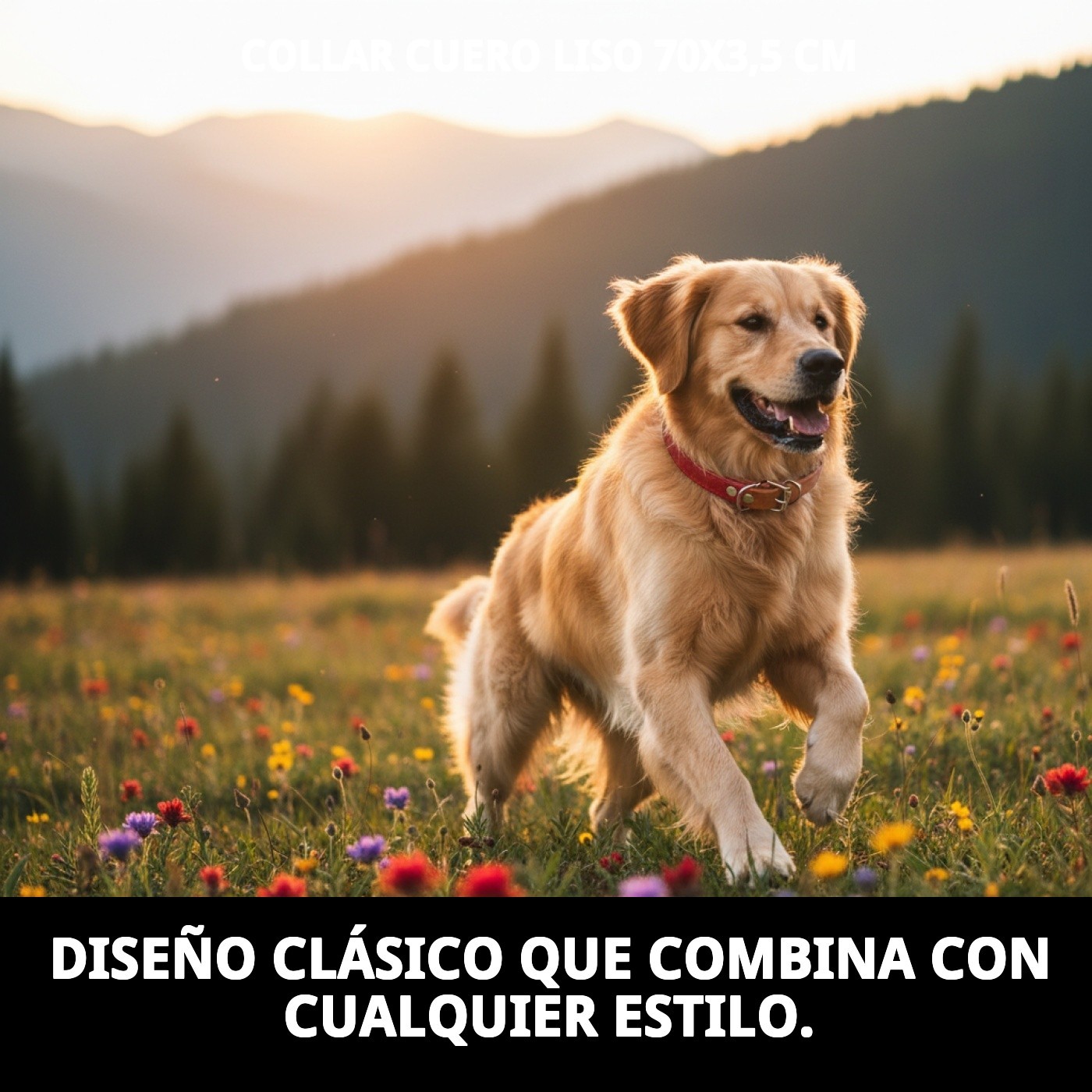 COLLAR CUERO LISO 70X3,5 CM