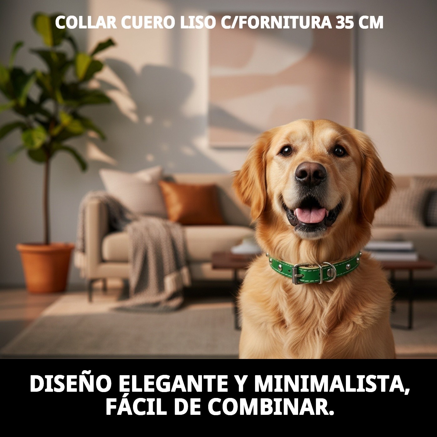 COLLAR CUERO LISO C/FORNITURA 35 CM