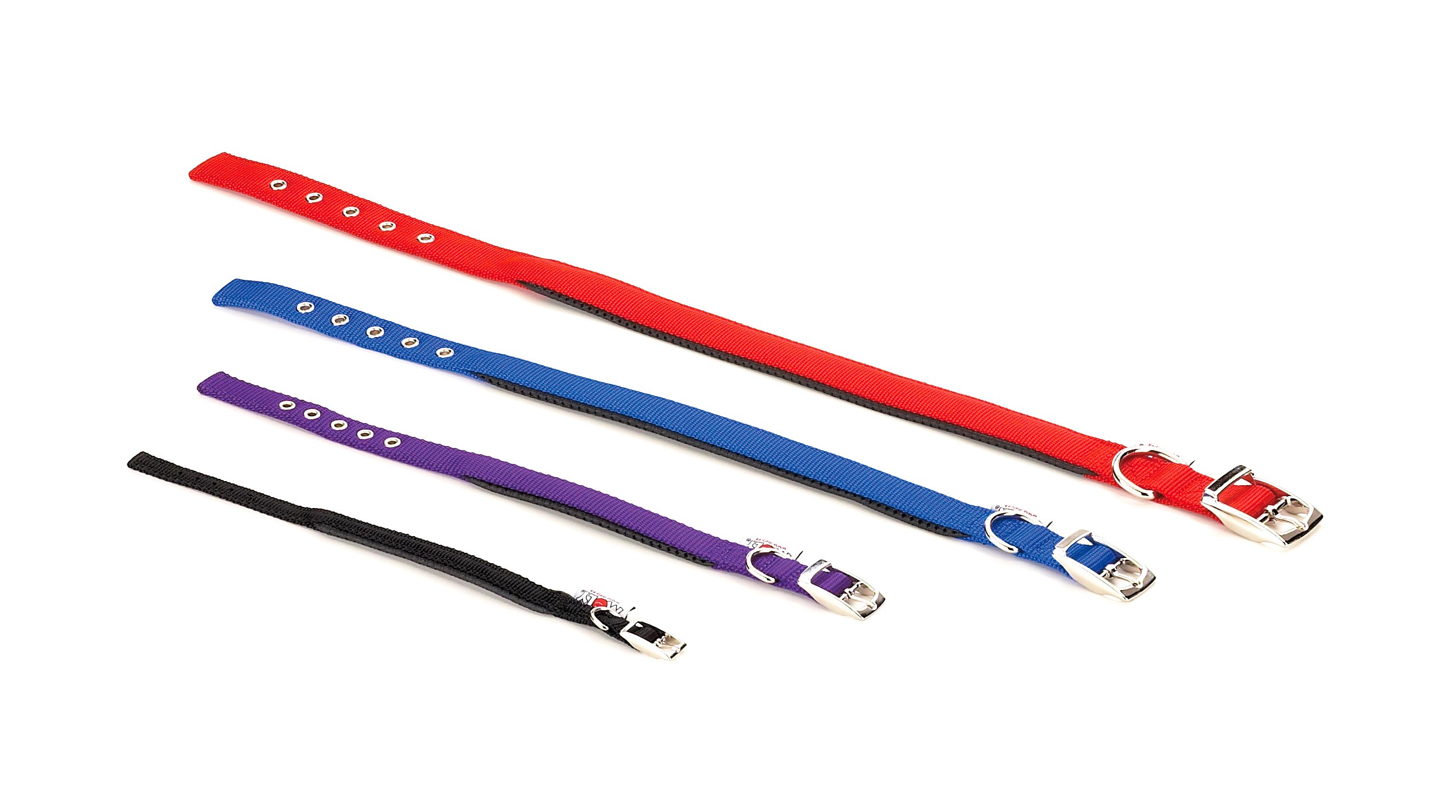 Collar de Nylon Confort 25–30 cm x 1,5 cm | Ajustable y Resistente para Perros Pequeños – Moly