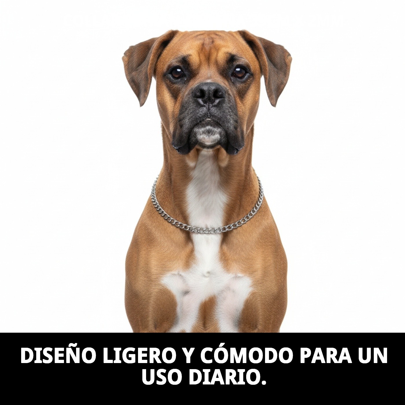 COLLAR ESTRAN CADENA 35cm X 2mm