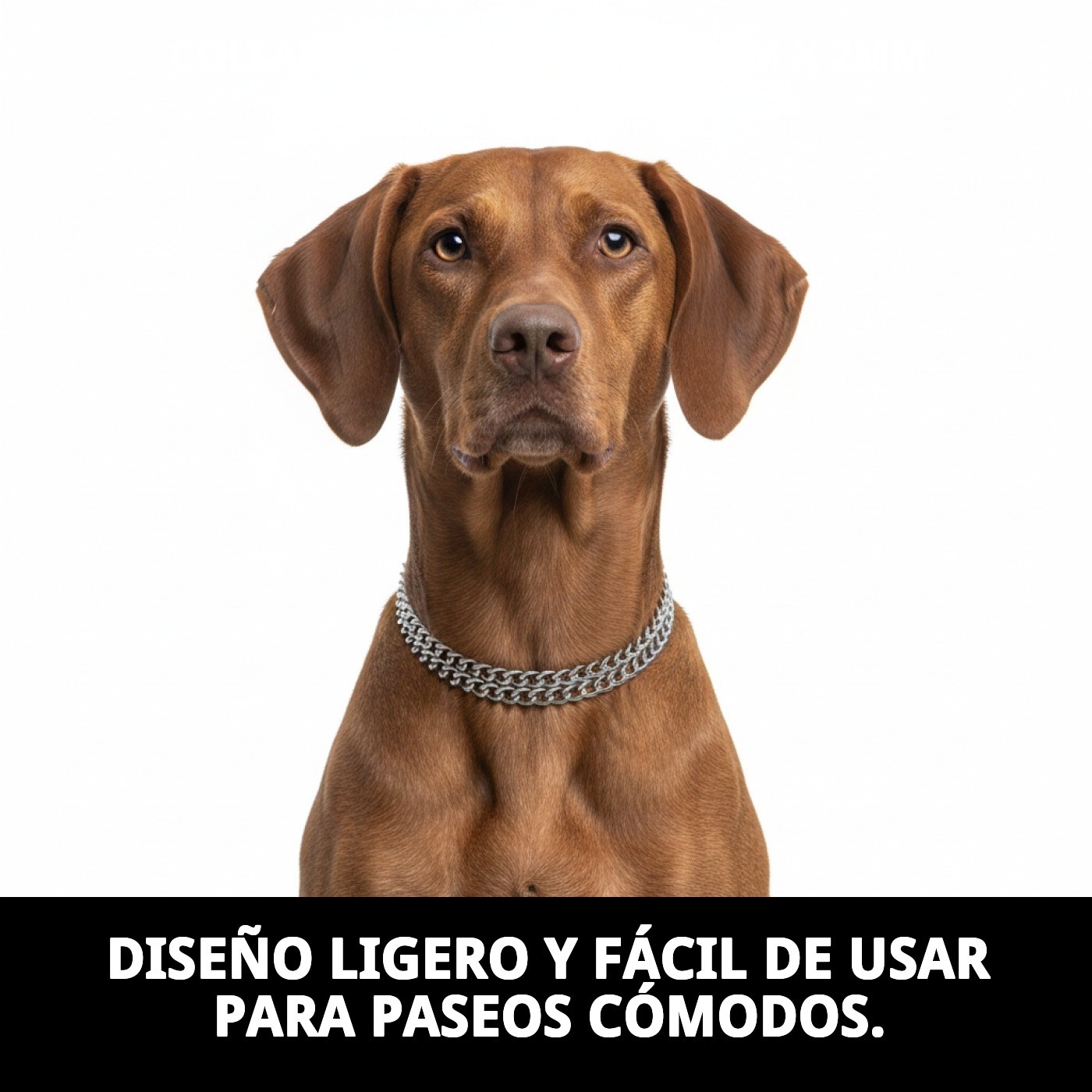 COLLAR ESTRAN CADENA 40cm X 2mm