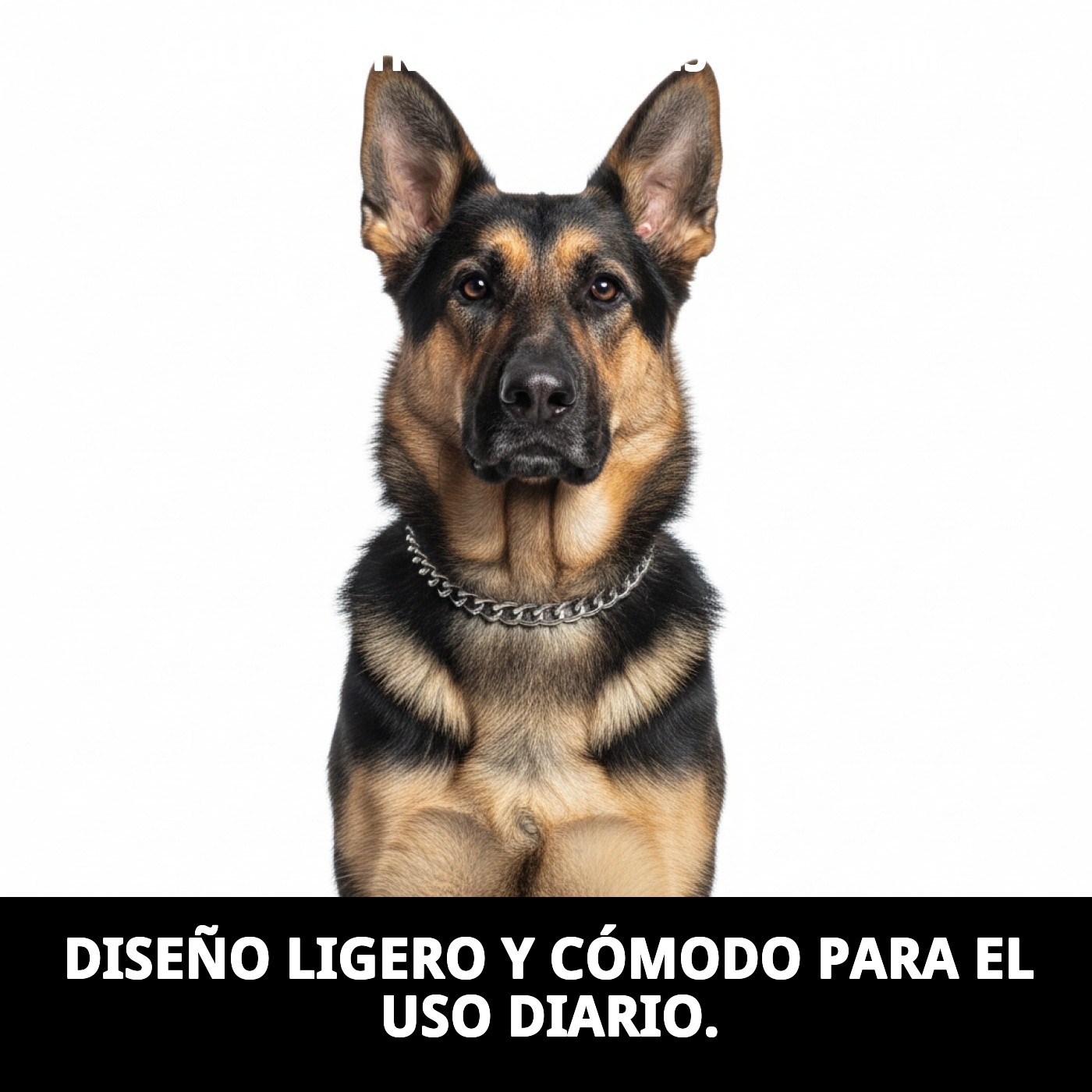 COLLAR ESTRAN CADENA 45CMX2,5 MM