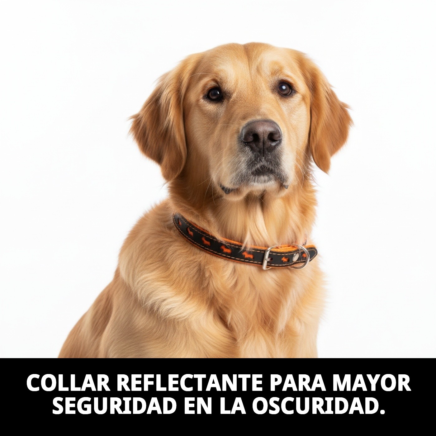 COLLAR LUXURY REFLECTANTE 57 CM