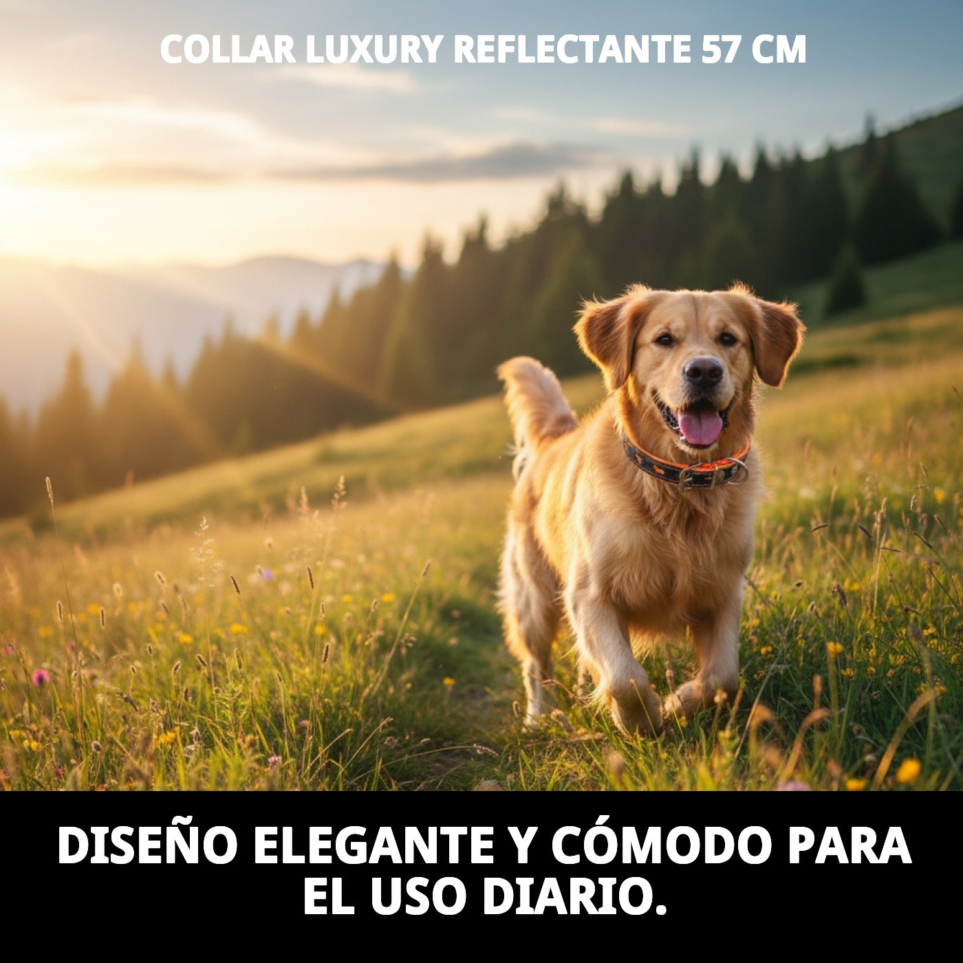 COLLAR LUXURY REFLECTANTE 57 CM