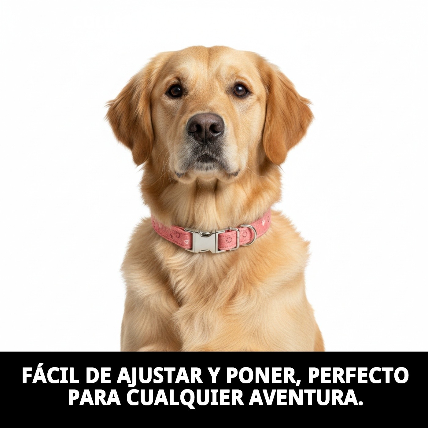 COLLAR  MOLY SALMON T-3 30-40*1,5